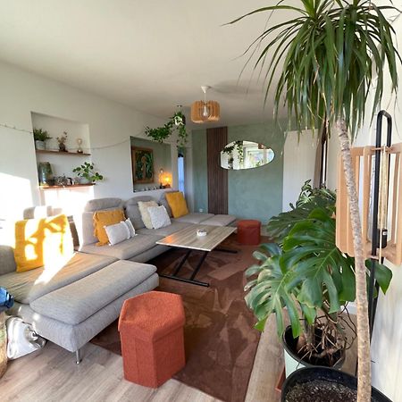 Appartement T3 - Foret & Plage Anglet Zewnętrze zdjęcie