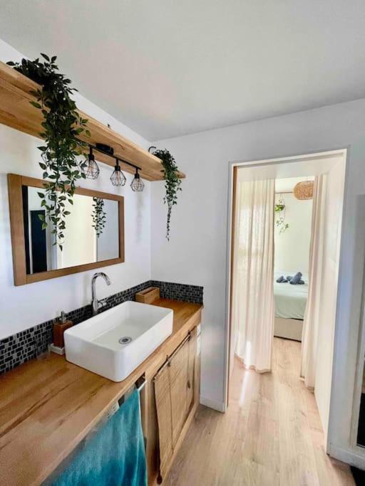 Appartement T3 - Foret & Plage Anglet Zewnętrze zdjęcie